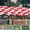 Play off 2002/03 a Tolentino: coreografia iniale