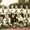 1955; la squadra vastese di Perth, in Australia. Terza divisione.