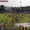 17.05.09: invasione di campo pacifica a tolentino 