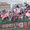 Stagione 2004/2005: i tifosi biancorossi durante Cavese-Pro vasto 2-0