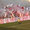 Fine anni 80: coreografia curva Tobruk