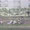 Stagione 1975/76; Pro vasto - Bari 1-1