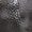 Bild 1210-007