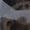 Bild 1007-013