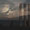 Bild 1208-002