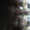 Bild 1006-010