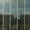 Bild 0910-016