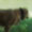 Bild 0908-011