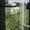 Bild 1005-021