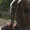 Bild 1008-008