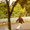 Bild 0907-004
