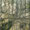 Bild 1203-004