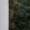 Bild 0910-006