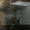 Bild 1007-009