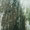 Bild 1004-001