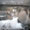 Bild 0912-009