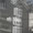 Bild 0908-006