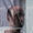 Bild 0909-018