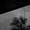 Bild 1202-001