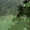Bild 1008-003