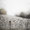 Bild 1202-003