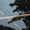 Bild 1010-009