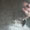 Bild 1004-024