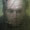 Bild 1004-020