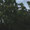 Bild 1008-014