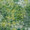 Bild 1109-015