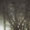 Bild 1211-002