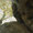 Bild 1004-017