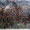 Bild 0911-001