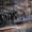 Bild 1111-003