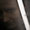 Bild 1007-015