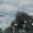 Bild 1006-006