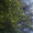 Bild 1109-001