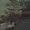 Bild 1205-010
