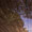 Bild 1006-026