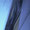 Bild 1010-023