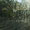 Bild 1109-008