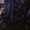 Bild 1111-002