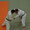 KODOKAN