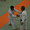 KODOKAN