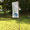 Wu Tai Chi im Park in Neuss