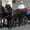 Im Sprudelhof, Foto: Beatrix van Ooyen für www.crowdfunding-bad-nauheim.de