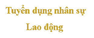 Tuyển dụng nhân sự , lao động（人事採用・労務）