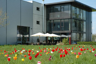 Firmenareal, Wiese mit Tulpen, bunte Blüten, Aussenbereich, Sitzplatz im Schatten, Kantine