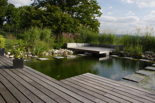 Märstetten, Weinfelden, Thurgau, Schwimmteich, Holzdeck, Trittsteine, formaler Garten, Gräser