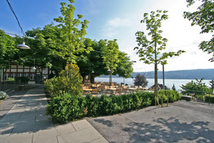 Gastronomie, Biergarten, Ausblick, am Wasser, Schatten, Bäume